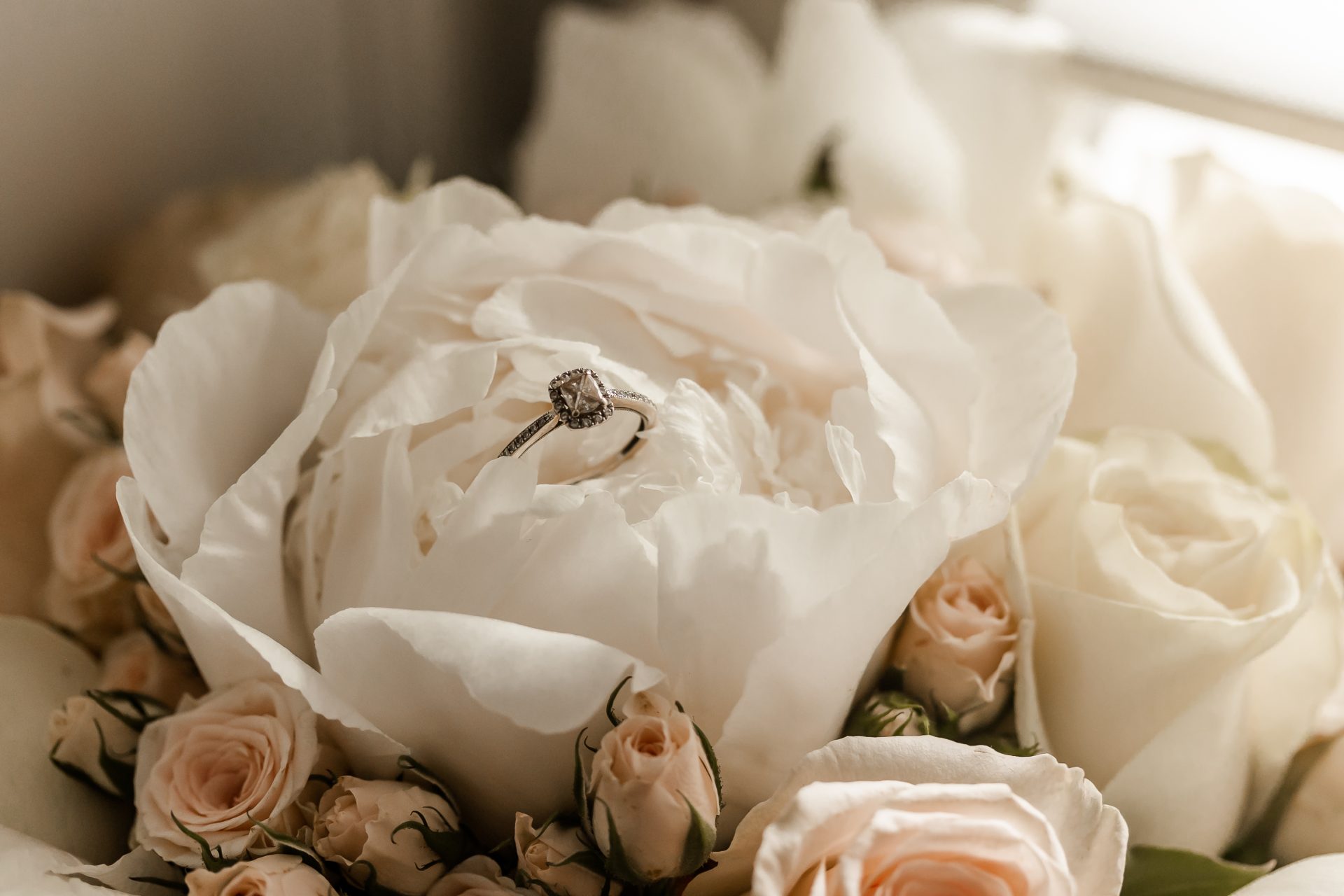 White gold engagement ring nestled in a white rose