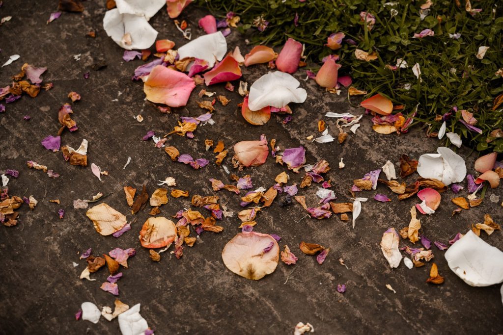 Alice&amp;David-21.06.2025-529